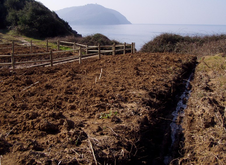 Ripristino di un fontanile a Baratti (Piombino - LI)